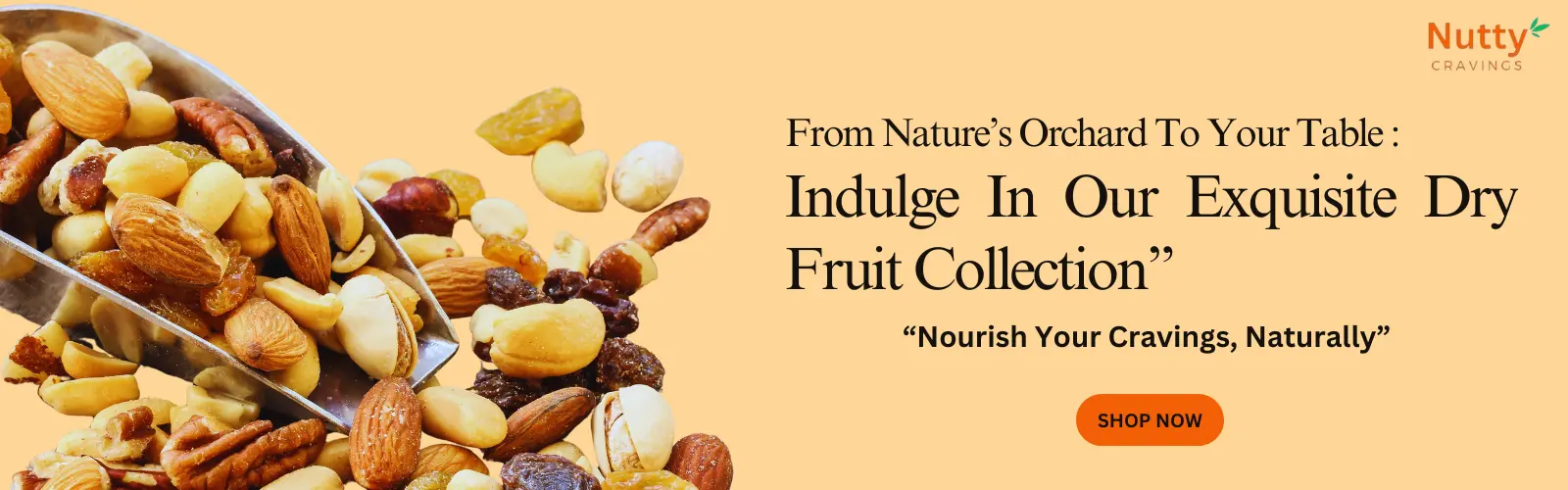 best dry fruit shop near me